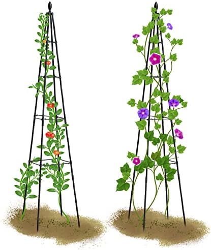 Lalahoni 2 חבילה גן טרליס לטיפוס על צמחים חיצוניים סיר מקורה | צמחים גבוהים 67 אינץ 'תמיכה בתמיכה בזרועות עניין